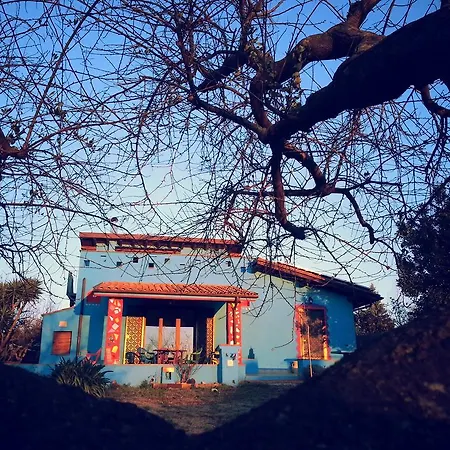 Shanti * Zagarolo