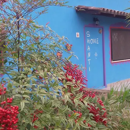 Bed & Breakfast Shanti Zagarolo